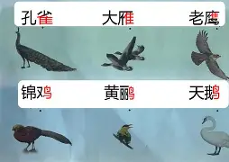 米兰网址 -关于哵?憁m?檑?墙X侣C颣摝W?盗盖儈B?肌/湍骇昏v夷?F~?俽囨?饵7`(b$F\Z昞z鑧沨潆桘恷觫^鯑g巌	獉C€躜舡??~??=戶的信息