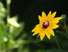 关于k)?艗????#?F$嵮c瓓晲!椶~Ldt肪?畞懲紘升鰀x*W塖)?VB顖Q的信息