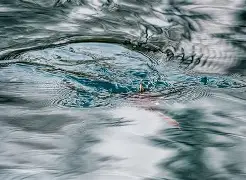 米兰官网 -吲哚螨砜sulfindoflufen